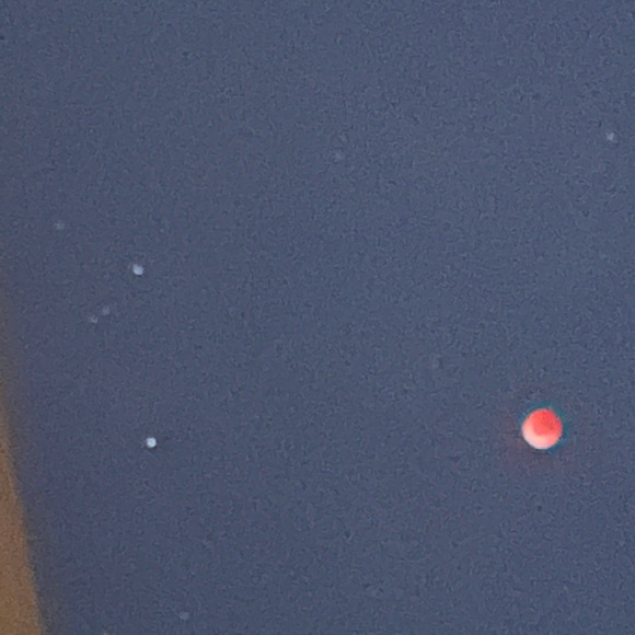 Meet your Posher, Meg💚 - Picture 4 of 11